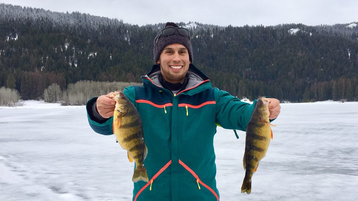 Jordan Rodriguez shows off two jumbo perch caught at Lake Cascade.