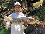 Tight Lines 208 creator Jordan Rodriguez with a tiger muskie.