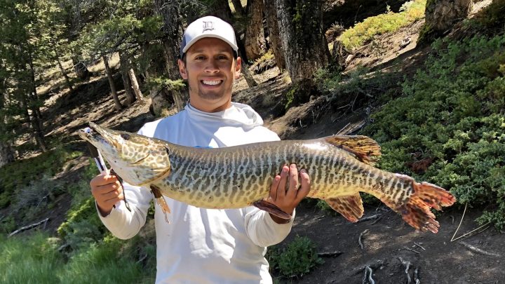 Tight Lines 208 creator Jordan Rodriguez with a tiger muskie.