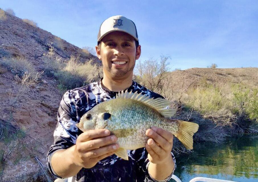 Lake havasu (BASS-FISHING)  Bass are biting. Go get ya some