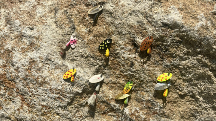 An assortment of Panther Martin spinners.