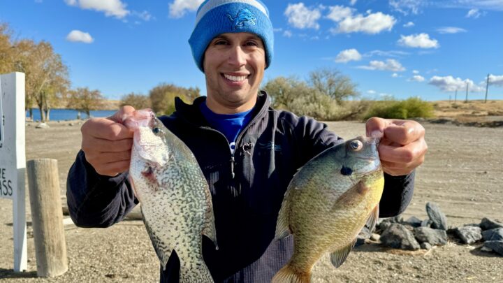 Jordan Rodriguez with a crappie and a bluegill caught at C.J. Strike Reservoir.